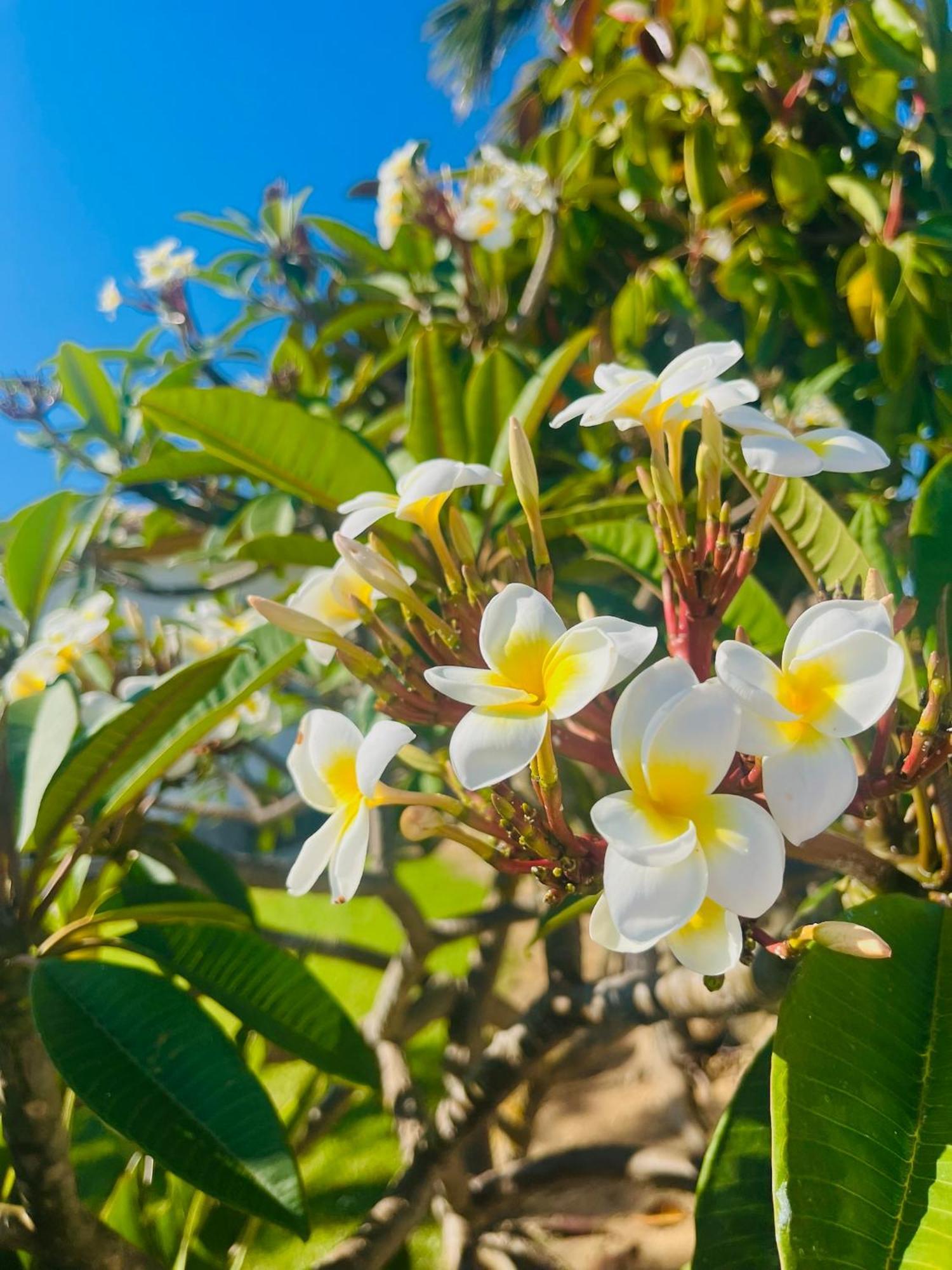 Finca La Vina Vejer de la Frontera Zewnętrze zdjęcie