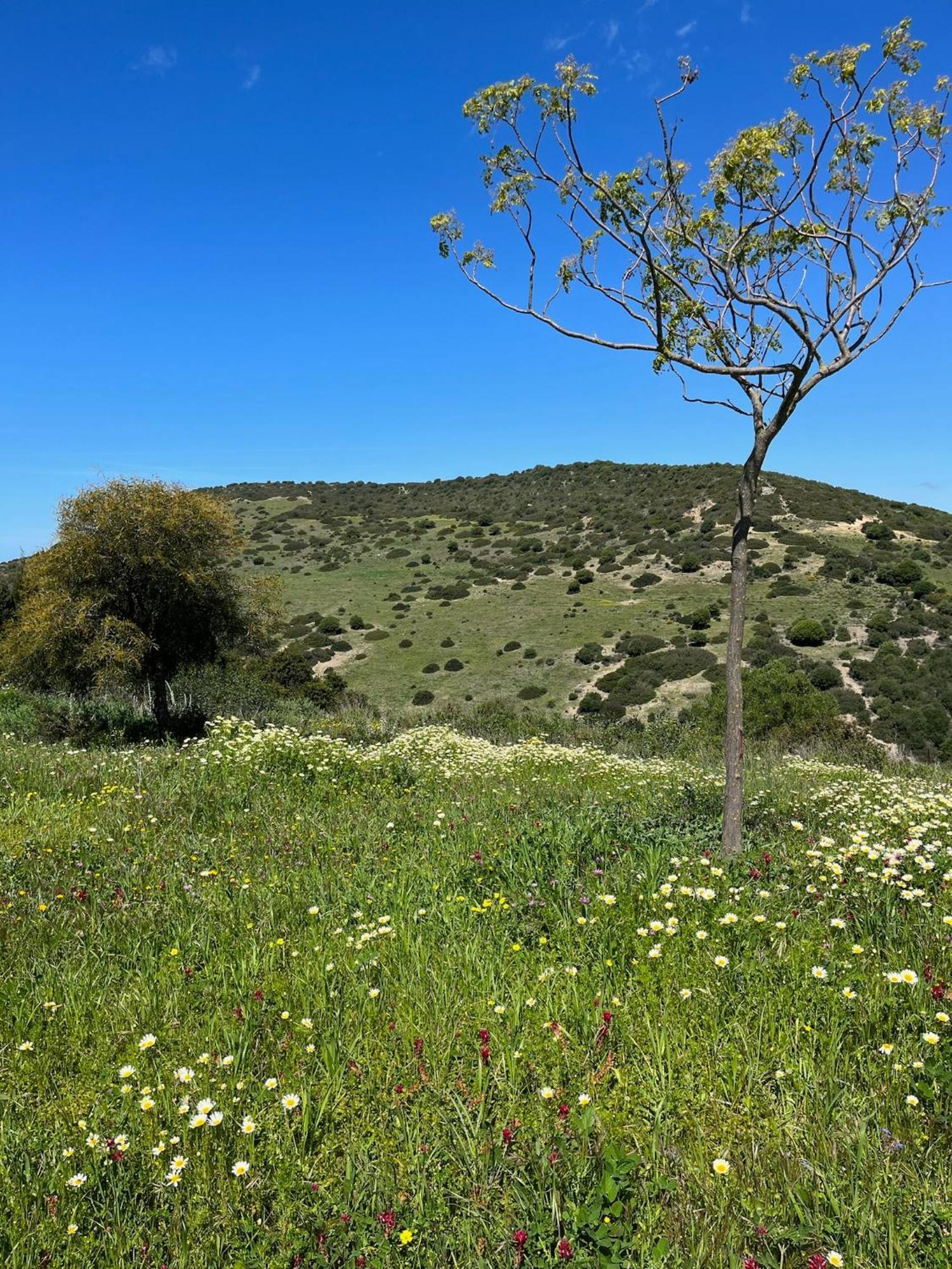 Finca La Vina Vejer de la Frontera Zewnętrze zdjęcie