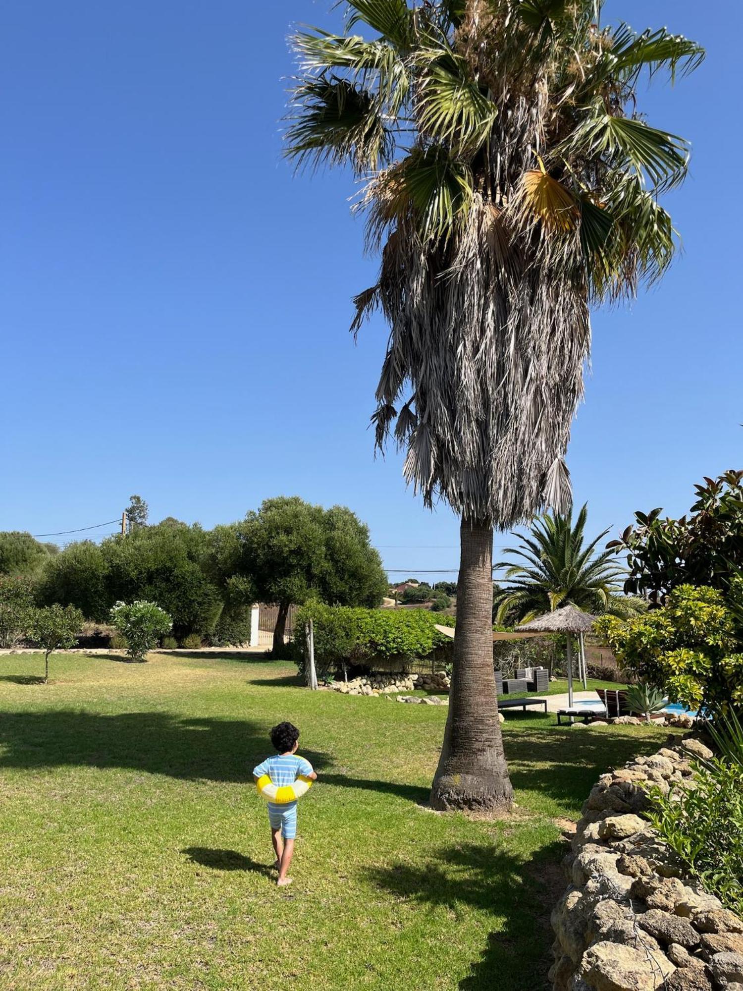 Finca La Vina Vejer de la Frontera Zewnętrze zdjęcie
