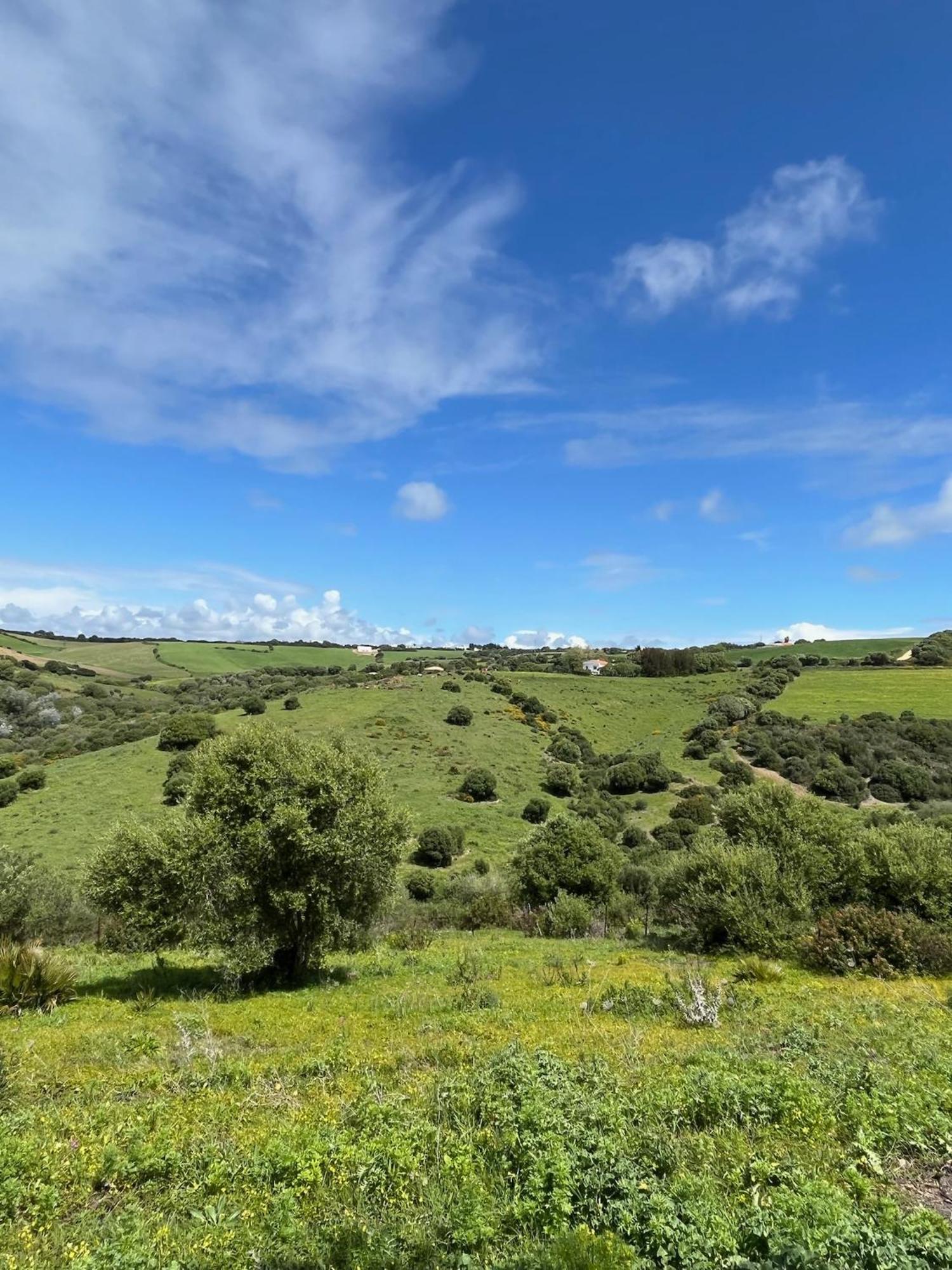 Finca La Vina Vejer de la Frontera Zewnętrze zdjęcie
