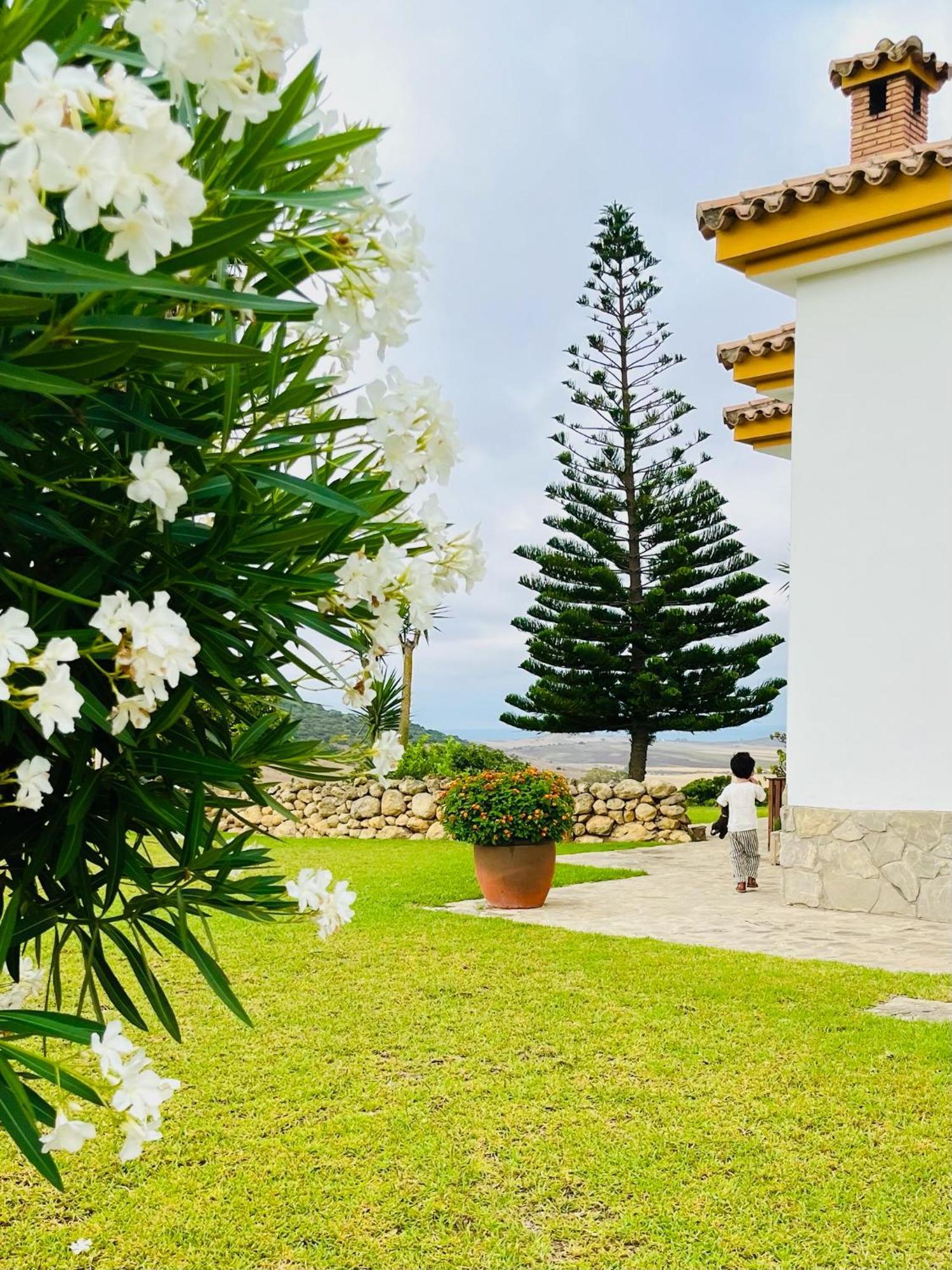 Finca La Vina Vejer de la Frontera Zewnętrze zdjęcie
